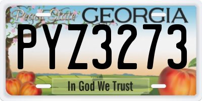 GA license plate PYZ3273
