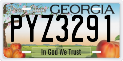 GA license plate PYZ3291