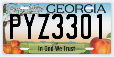 GA license plate PYZ3301