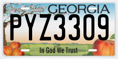 GA license plate PYZ3309