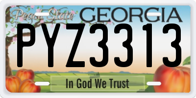 GA license plate PYZ3313