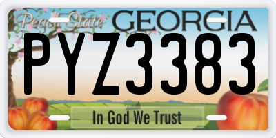 GA license plate PYZ3383