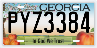 GA license plate PYZ3384