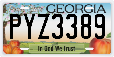 GA license plate PYZ3389