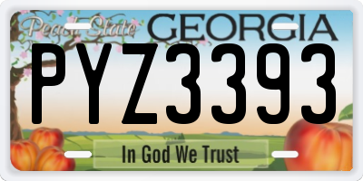 GA license plate PYZ3393