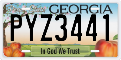 GA license plate PYZ3441