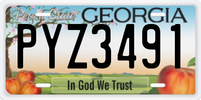 GA license plate PYZ3491