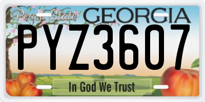 GA license plate PYZ3607