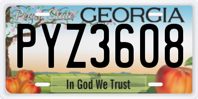 GA license plate PYZ3608