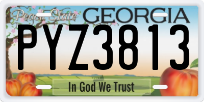 GA license plate PYZ3813
