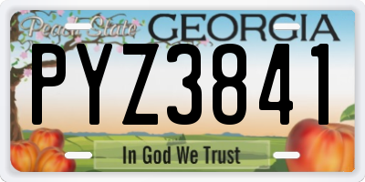 GA license plate PYZ3841