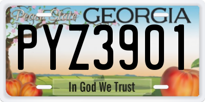 GA license plate PYZ3901