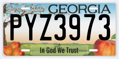 GA license plate PYZ3973