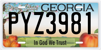 GA license plate PYZ3981
