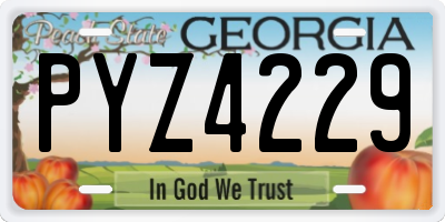 GA license plate PYZ4229