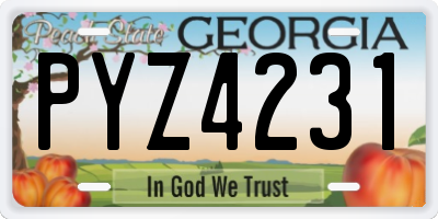 GA license plate PYZ4231