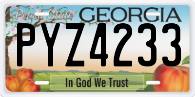 GA license plate PYZ4233