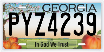 GA license plate PYZ4239