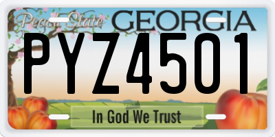 GA license plate PYZ4501