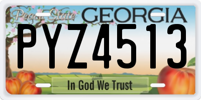 GA license plate PYZ4513