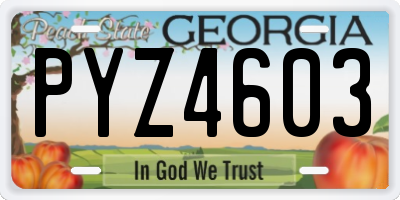 GA license plate PYZ4603