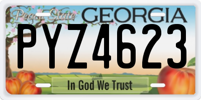 GA license plate PYZ4623