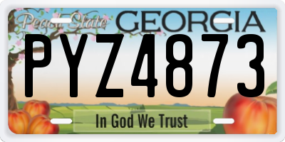GA license plate PYZ4873