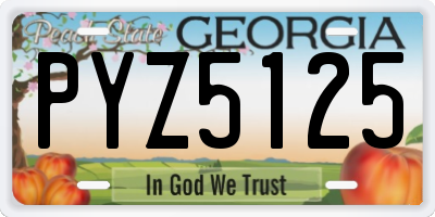 GA license plate PYZ5125