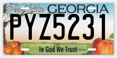 GA license plate PYZ5231