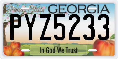 GA license plate PYZ5233