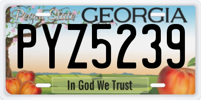 GA license plate PYZ5239