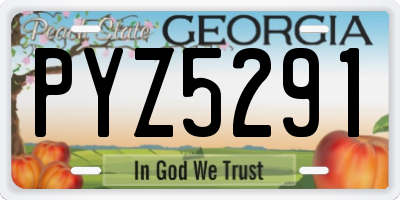 GA license plate PYZ5291