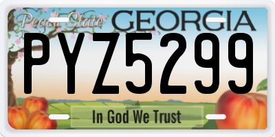 GA license plate PYZ5299