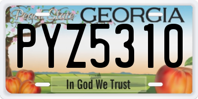 GA license plate PYZ5310