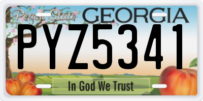 GA license plate PYZ5341