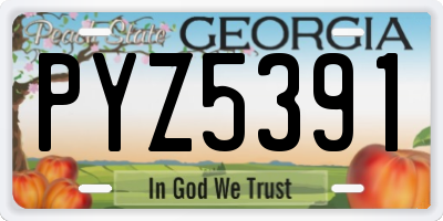 GA license plate PYZ5391