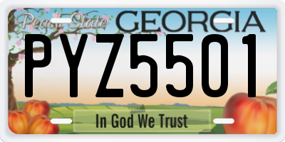 GA license plate PYZ5501