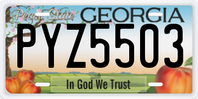 GA license plate PYZ5503