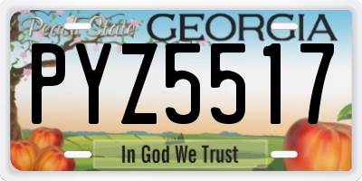 GA license plate PYZ5517
