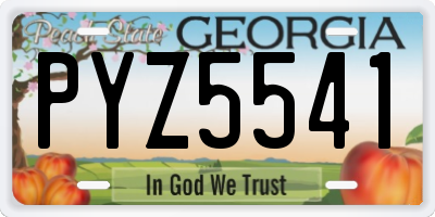 GA license plate PYZ5541