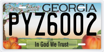 GA license plate PYZ6002