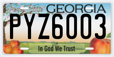 GA license plate PYZ6003