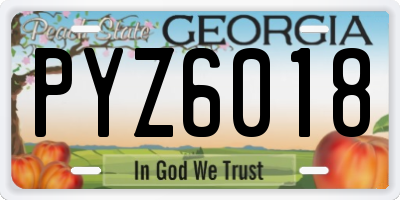 GA license plate PYZ6018