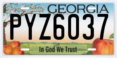 GA license plate PYZ6037