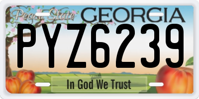 GA license plate PYZ6239