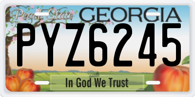 GA license plate PYZ6245
