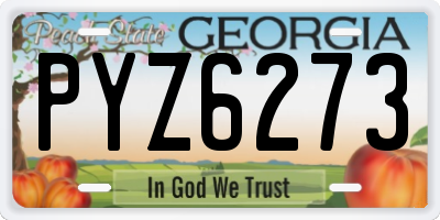 GA license plate PYZ6273