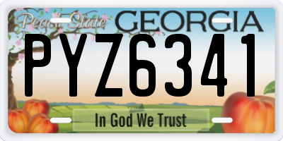 GA license plate PYZ6341