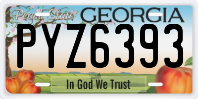 GA license plate PYZ6393