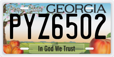 GA license plate PYZ6502